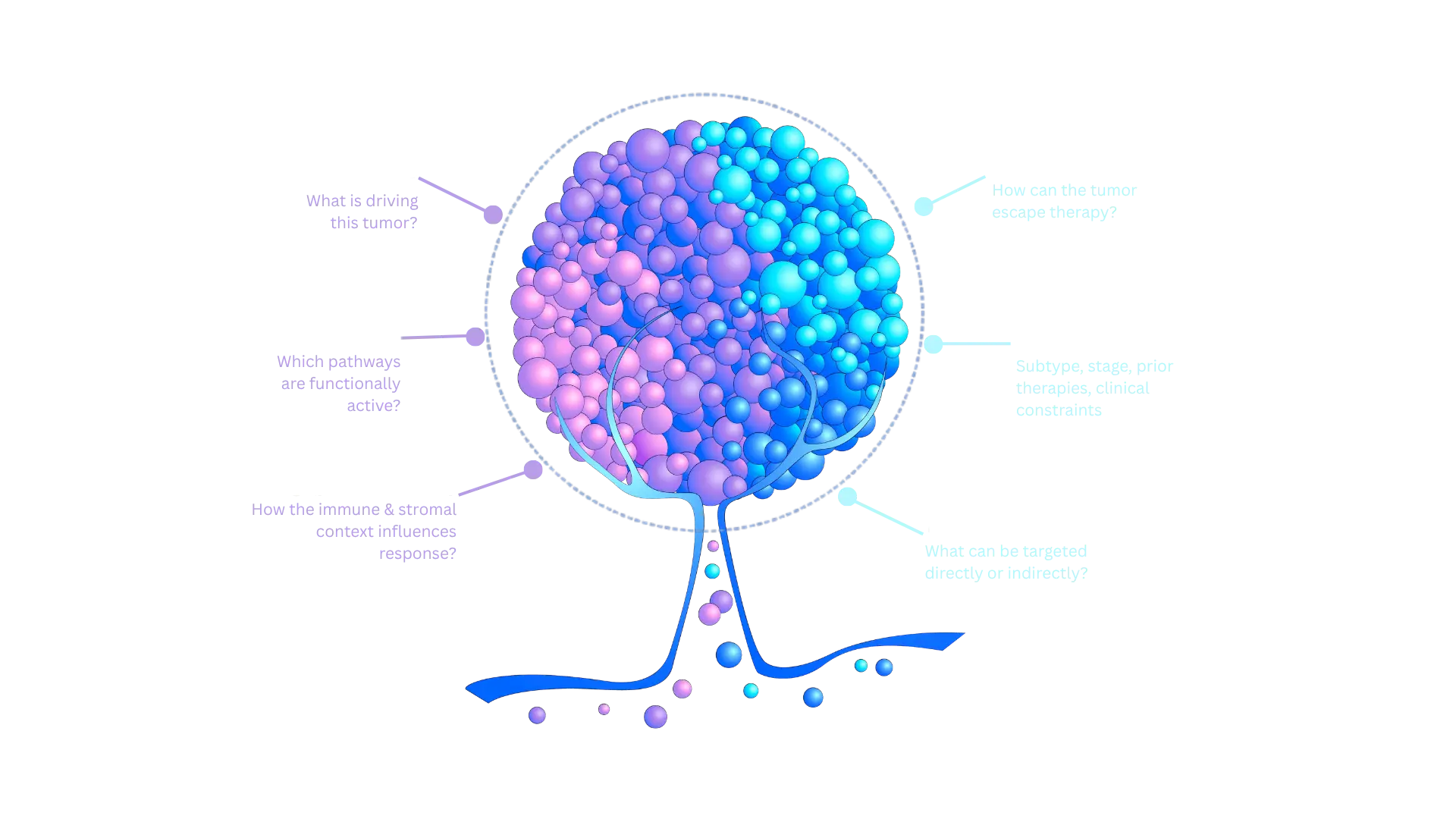 Science Hero Diagram